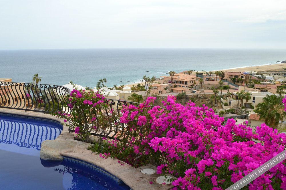 Villa Las Flores Cabo San Lucas Bagian luar foto